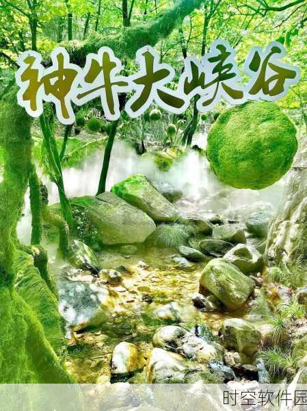 仙踪cosmetology大陆:探索仙踪:揭开cosmetology大陆的美丽秘密