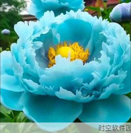亭亭玉立国色天香开心:1. 亭亭玉立,绽放国色天香的美丽魅力