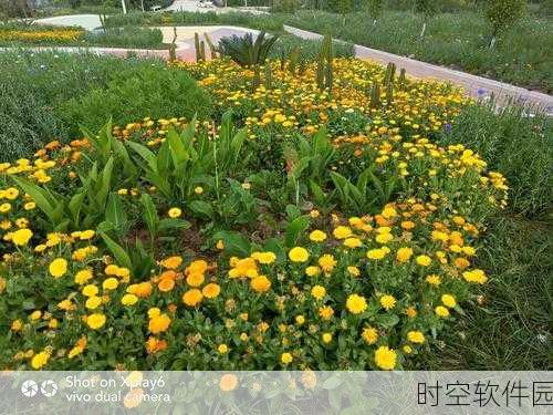 女生和男生一起生猴子:1. 幸福携手:女生和男生一起孕育未来